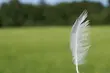 Temperatura powyżej 20°C i silniejszy wiatr