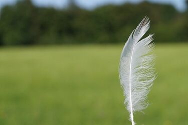 Temperatura powyżej 20°C i silniejszy wiatr