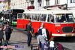 10 najciekawszych autobusów przyciągnęło białostoczan na Rynek Kościuszki [ZDJĘCIA]