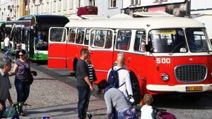 10 najciekawszych autobusów przyciągnęło białostoczan na Rynek Kościuszki [ZDJĘCIA]