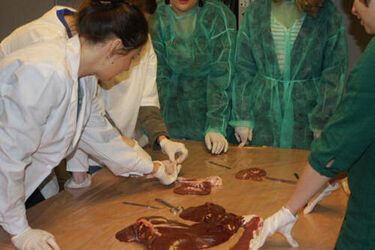 Galileusz – niezwykłe korepetycje