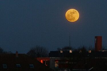 Krwawe zjawisko na niebie. Całkowite zaćmienie Superksiężyca