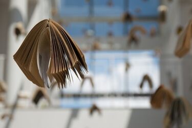 7 nauczycieli nagrodzonych przez przewodniczącego rady miasta