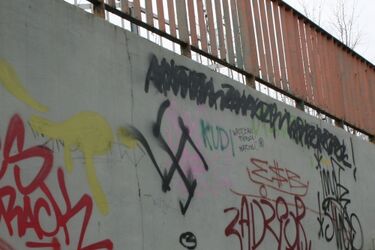 Swastyki i krzyże celtyckie na blokach i plakatach wyborczych