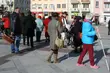 Międzynarodowy Dzień Białej Laski. Happening na Rynku Kościuszki
