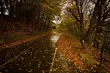 Weekend będzie pochmurny, a nawet deszczowy