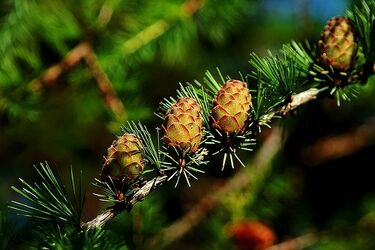 Dziś 10°C i zachmurzone niebo