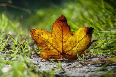Piątek będzie nieco cieplejszy