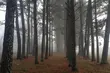 Po mglistym poranku czekają nas przejaśnienia