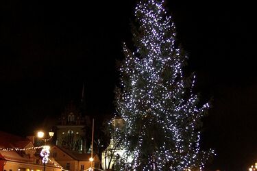 W ciągu miesiąca w centrum staną trzy duże choinki