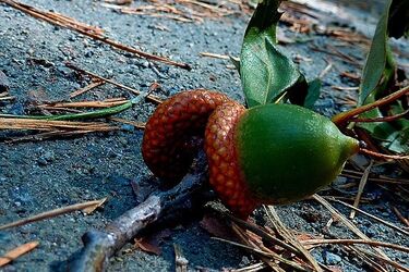 Dziś chłodniej i z zachmurzeniami