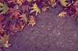 Niższa temperatura i brak przejaśnień