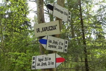 Nowe ścieżki biegowe w Biebrzańskim Parku Narodowym. Propozycja dla aktywnych