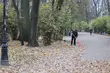Sobota pochmurna, w niedzielę ponad 10°C