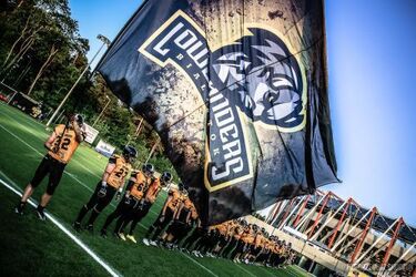 Otwarte treningi Lowlanders'ów. Spróbuj swoich sił