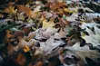 Wystąpią przejaśnienia, a temperatura spadnie poniżej 0°C