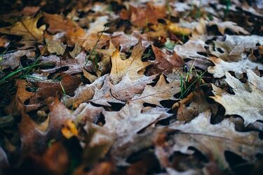 Wystąpią przejaśnienia, a temperatura spadnie poniżej 0°C