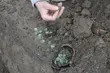 Skarb z czasów Jagiellonów odkopany w czasie budowy podlaskiego odcinka S8