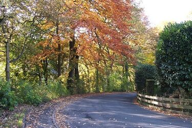 Temperatura będzie nieco niższa. Ślisko na drogach