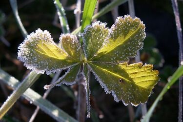 W poniedziałek 0°C i okresowe przejaśnienia