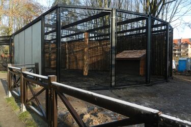 Remont Akcentu ZOO. Ryś, kozy i puszczyk mają nowe mieszkania