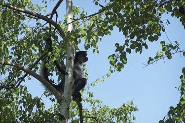 Darmowy pokaz filmu. Pomysł na niedzielę