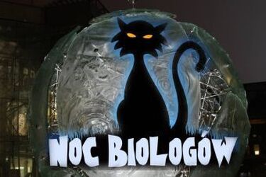 Czy DNA świeci nocą i czy jesteśmy skazani na nasze geny? Ruszyły zapisy na Noc Biologów