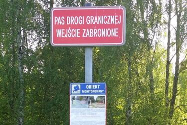 Niemcy chcieli na Białoruś - dostali mandaty