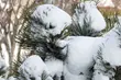 Synoptycy zapowiadają opady śniegu