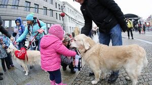 Białystok zagrał z Orkiestrą. Kwestował łazik, kąpały się morsy [ZDJĘCIA]
