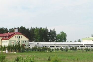 Podlaski producent implantów szuka pracowników