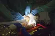 Przejażdżka symulatorem ambulansu. Można ją wylicytować na rzecz WOŚP
