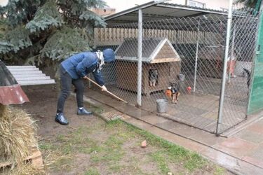 Ludzkie warunki dla psów. W Białymstoku powstanie nowe schronisko