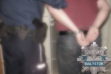 Spodobała mu się misa ustępowa. Postanowił ją ukraść