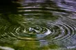 Obniżenie temperatury i opady