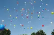 Balonowe marzenia chorych dzieci – happening przed UDSK