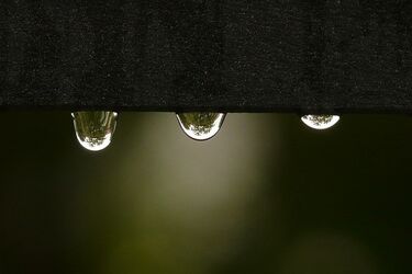 Synoptycy zapowiadają opady deszczu