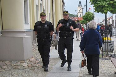 Strażnicy miejscy skontrolują białostockie nieruchomości. Sprawdzą ich czystość