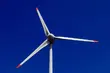 U źródeł energii. Kto może otrzymać dotację? Spotkanie w Białowieży