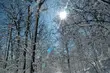 Temperatura wzrośnie do 5°C