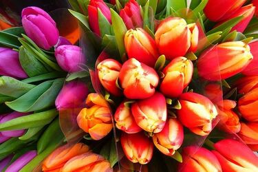 10 pomysłów na ciekawe spędzenie Dnia Kobiet [WIDEO]