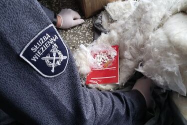 Narkotyki schowane w kurtce. Próba przemytu do białostockiego aresztu śledczego