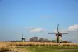 Praca w Holandii. Weź udział w spotkaniu z doradcą EURES