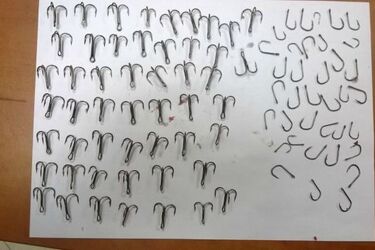 Mięso naszpikowane wędkarskimi haczykami. Pułapka w lesie