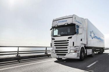 Staż i późniejsze zatrudnienie. Firma transportowo-specydycyjna prowadzi rekrutację
