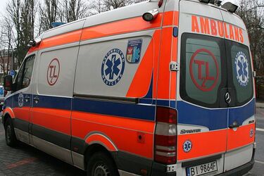 Nie żyje kolejna osoba. Świńska grypa coraz groźniejsza