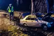 Uwaga na łosie. Poważny wypadek mercedesa