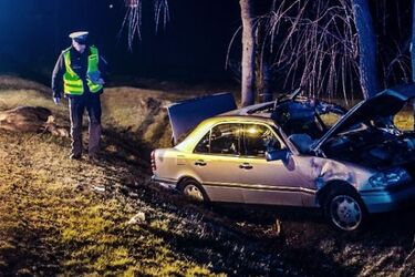 Uwaga na łosie. Poważny wypadek mercedesa