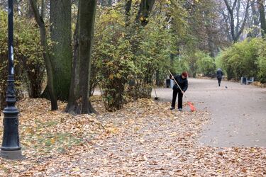 Pielęgnacja najstarszych białostockich parków może kosztować nawet 2,6 mln zł