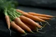 Od humanistki do programistki. Kolejne spotkanie Geek Girls Carrots